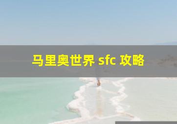 马里奥世界 sfc 攻略